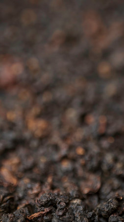 A detailed closeup view of dark, textured organic material that can be observed in nature. Mediaの写真素材