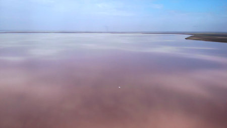 Drone flying above a beautiful lake. Mediaの写真素材