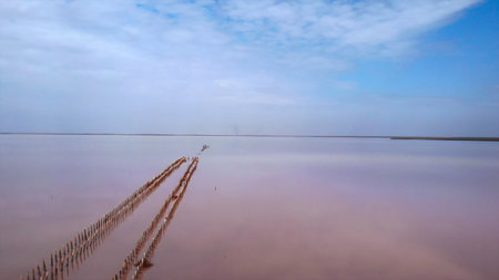 Drone flying backwards over a pink salt lake.の写真素材