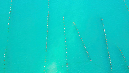 Aerial view of oyster farming in turquoise water.