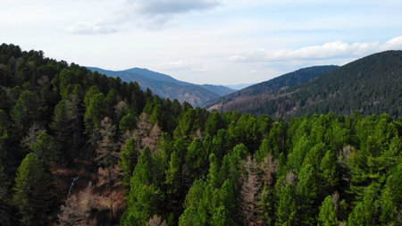 Green coniferous forest covers the slopes of the mountain range.