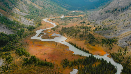 Aerial view of meandering river in autumnal forest valley.