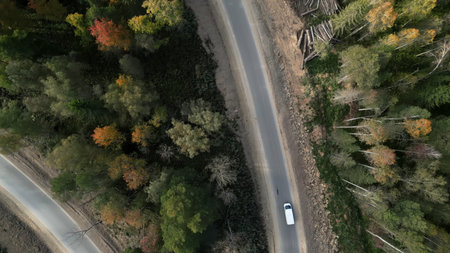 White van driving through autumnal forest aerial view. Clip