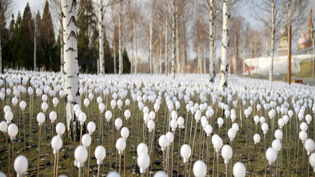 White spheres gently swaying in a birch tree grove. Actionの写真素材