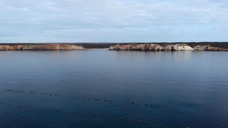 distant cliffs and calm waters depicted as biologist conducts conservation assessment from air