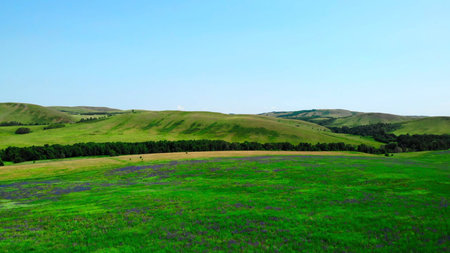 Aerial view of green summer hills and blue sky.