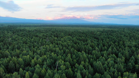 Aerial view of forest with volcano mountain in the background.の写真素材
