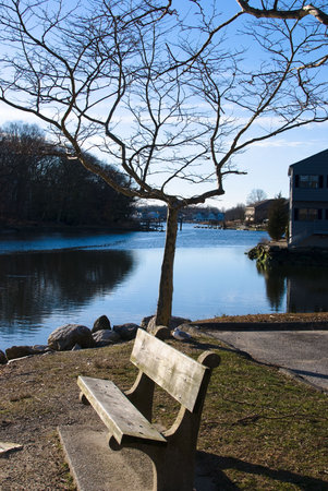 A deserted park on a sunny autumn day showing trees with fallen leaves, an empty bench and a pond