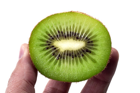 Green kiwi in a hand isolated on a white backgroundの写真素材