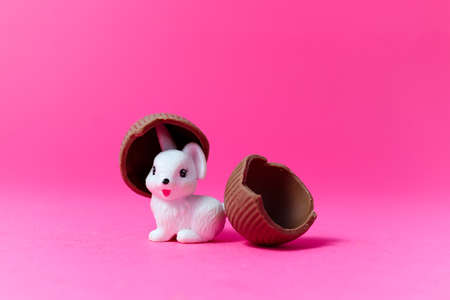 Little White Rabbit hatched from chocolate egg Easter Holiday Conceptの写真素材