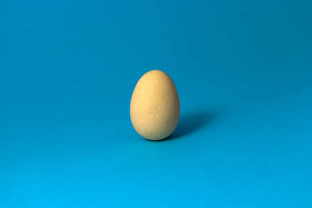 White chocolate easter egg on blue pastel pastel background. Close up.の写真素材