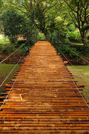 A bamboo bridge in a tropical botanical garden. Taken in Kauai, Hawaii.の写真素材