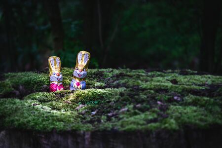 Chocolate Easter bunny hiding on the balcony, to look for Easter eggsの写真素材
