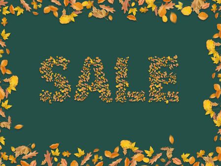 Autumn sale ,, Different Autumn leaves blowing through the sky, autumn concept backgrounds, discount sale, retail, banner, poster, display, wallpaper, postcard, online shoppingの写真素材