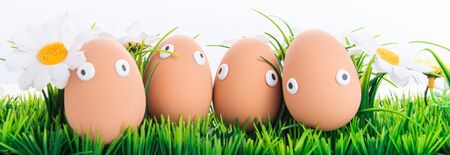 Happy Easter eggs in a row among the spring grass with flowers on an isolated white background, frame, border, egg characters with funny eyes, Happy Easter concept, Easter theme, chicken, postcard,の写真素材