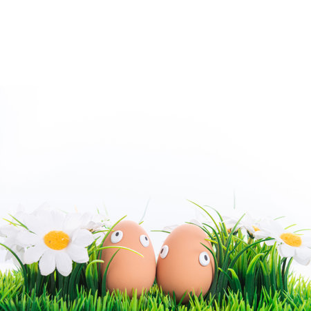 Happy Easter eggs in a row among the spring grass with flowers on an isolated white background,...