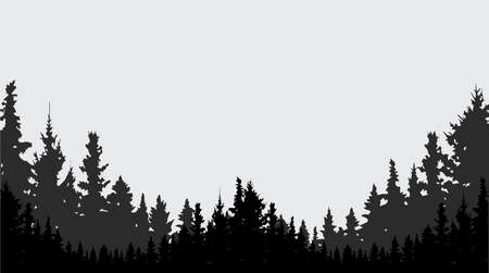 Beautiful panorama of the mystical forestのイラスト素材