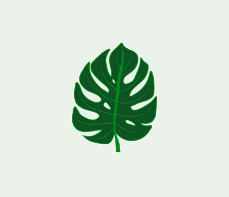 Beautiful Monstera leaf template. Fully editable templateのイラスト素材