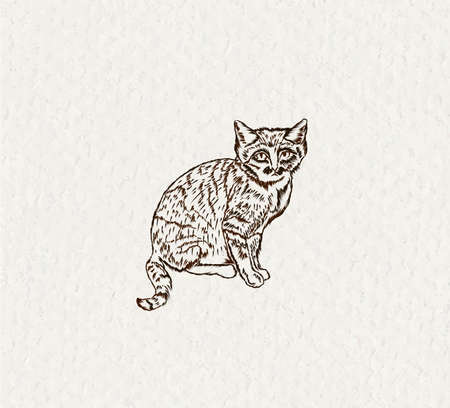 Cat. Beautiful sketch illustration drawn by hand with a stylus.のイラスト素材