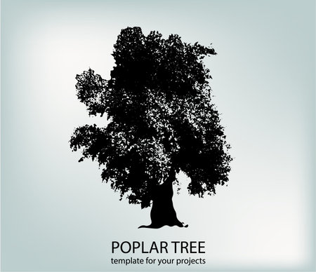 Ready-made tree silhouette template. eps10のイラスト素材