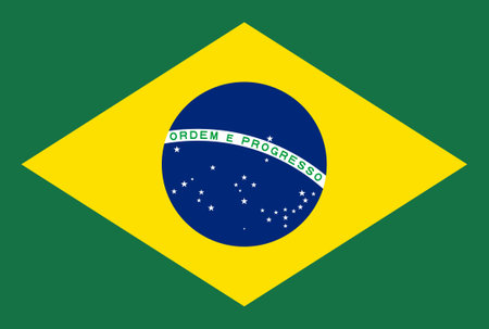 flag of the brazil in vectorのイラスト素材