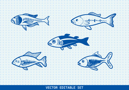 This editable vector set features four unique hand-drawn fish illustrations. perfect for seafood menus, kids' books, educational materials, aquarium infographicsのイラスト素材
