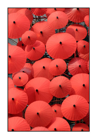 umbrellasの写真素材