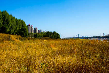 Autumnの写真素材