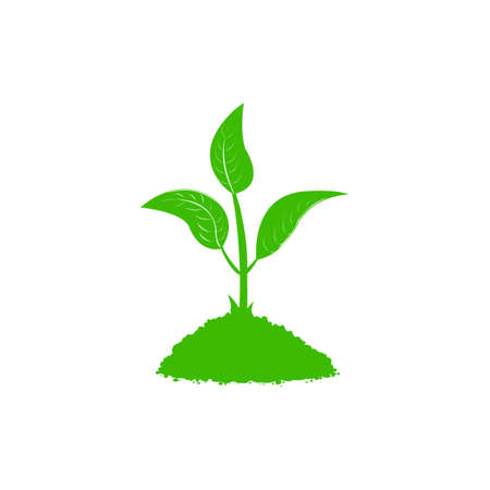 Greenleaf vector design templateのイラスト素材