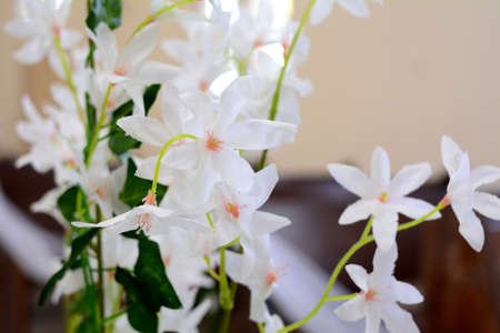 Beautiful white fake flowers from a young weddingの写真素材