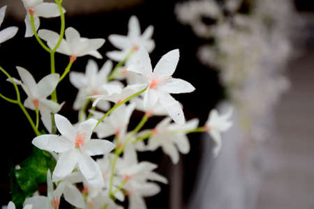 Beautiful white fake flowers from a young weddingの写真素材