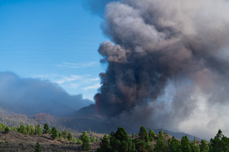 eruption of the volcano on the island of La Palmaの写真素材