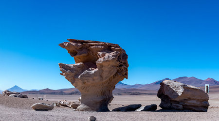 Stone tree in the bolivian altiplanoの写真素材