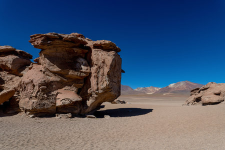 Stone tree in the bolivian altiplanoの写真素材