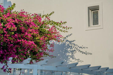 views of the village of Oia in Santoriniの写真素材