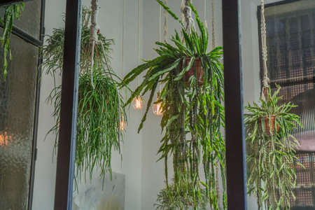 interior design details in a detached houseの写真素材