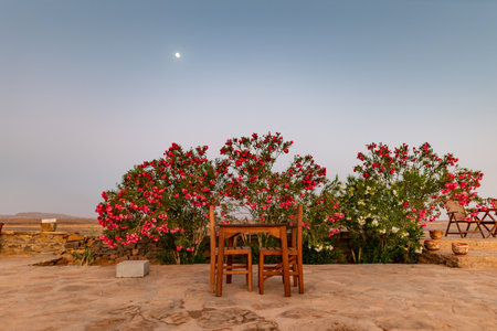 private house at the gates of the Sahara desertの写真素材
