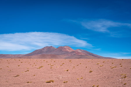 Desert landscape of the bolivian altiplanoの写真素材