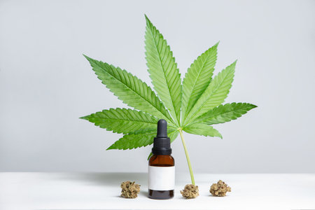 CBD dropper, hemp oil extract, cannabis leaf on white backgroundの写真素材
