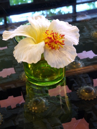 Hibiscus Flower on the tableの写真素材