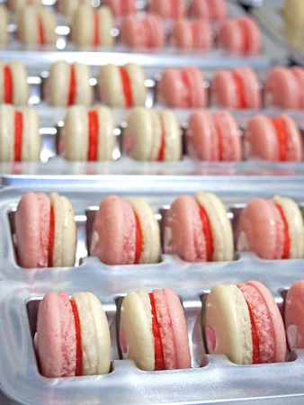 Strawberry french macaronsの写真素材