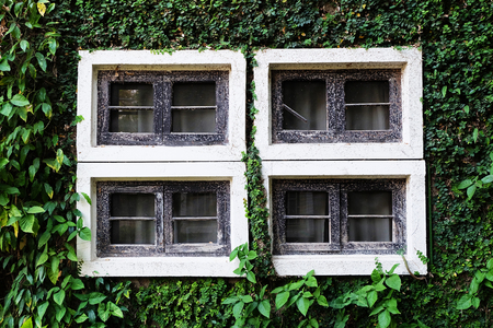 wooden Window on the green wallのeditorial素材