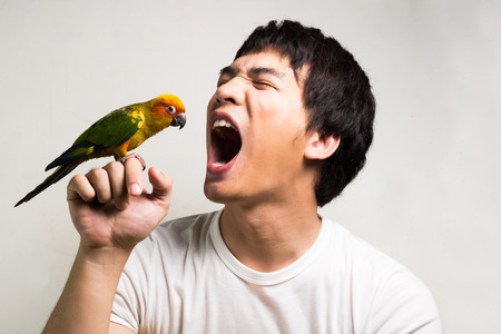 Asian men with parrot - Sun Conureの写真素材