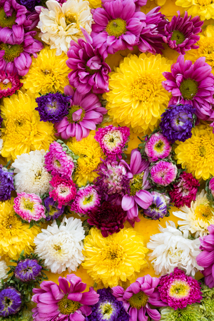 Colorful design pattern of flower texture and backgroundの写真素材