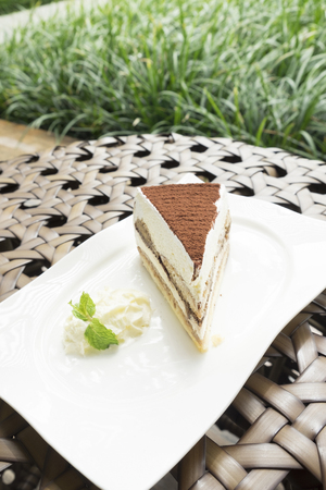 tiramisu cake served with whipped cream in the white dishの写真素材