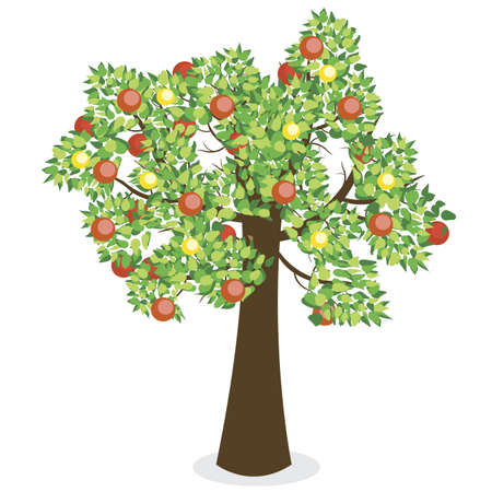 abstract tree with different fruits on white backgroundのイラスト素材