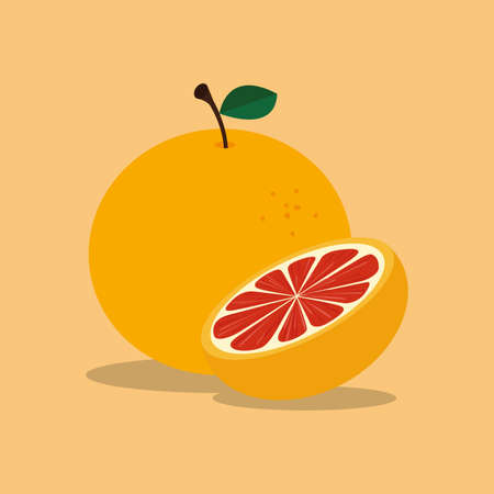 abstract cartoon orange on a light color backgroundのイラスト素材