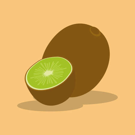abstract cartoon kiwi on a light color backgroundのイラスト素材