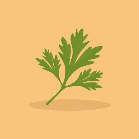 abstract Cilantro on a light orange backgroundのイラスト素材