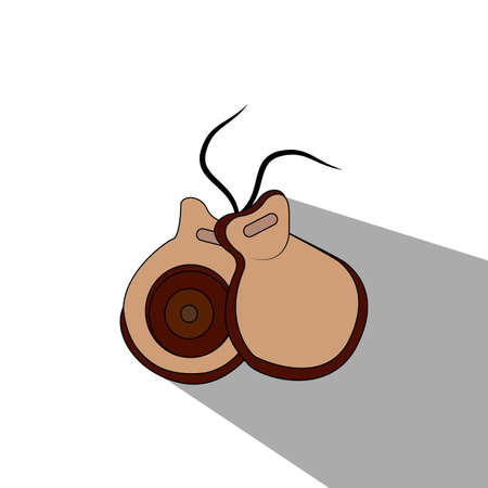 abstract isolated music object on a white backgroundのイラスト素材